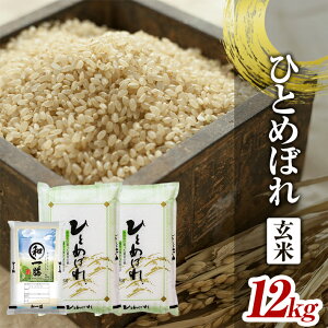 yӂ邳Ɣ[ŁzЂƂ߂ڂ  v12kg 5kg×2 2kg×1 ߘa7NY R`cY k R` cs n    ͂  