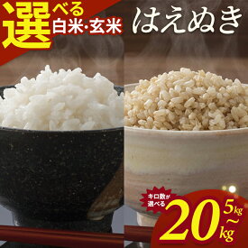 【ふるさと納税】はえぬき 選べる 5kg 10kg 15kg 20kg 白米 玄米 令和7年産 山形県酒田産 東北 山形県 酒田市 庄内地方 庄内平野 庄内米 お米 ごはん ご飯 精米