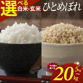 【ふるさと納税】ひとめぼれ 選べる 5kg 10kg 15kg 20kg 白米 玄米 令和7年産 山形県酒田産 東北 山形県 酒田市 庄内地方 庄内平野 庄内米 お米 ごはん ご飯 精米