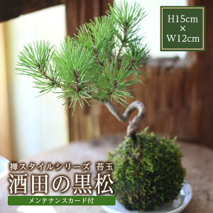 yӂ邳Ɣ[ŁzTX^CV[Y ۋ uc̍v nhCh  moss bowl ϗtA a_ k R` cs 
