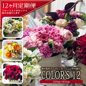 yӂ邳Ɣ[Łz12ց Fŏt[AW uCOLOR'S12v N12 \ݗ疈͂ 