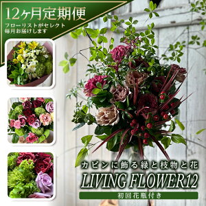 yӂ邳Ɣ[Łz12ց Jrɏ΂Ǝ}ƉԁuLIVING FLOWER12v N12 \ݗ疈͂ s t[ O[ } { t  H ~ k R` c