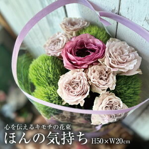 yӂ邳Ɣ[ŁzS`L`̉ԑuق̋C SASAYAKADESUGAv s L`  ͂ t[  ԑ Ԃ ؂ u[P  k R` cs  LotusGarden 