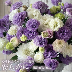 yӂ邳Ɣ[ŁzS`L`̉ԑu炩 YASURAKANIv s L`  ͂ t[  ԑ Ԃ ؂ u[P  k R` cs  LotusGarden t[