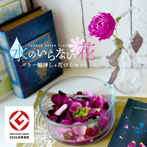 yӂ邳Ɣ[ŁẑȂ [t[ uo֑}ԂтZbgv ԕr k R` cs  LotusGarden t[YhCX Next Level FLOWERS Japan t[YhCt