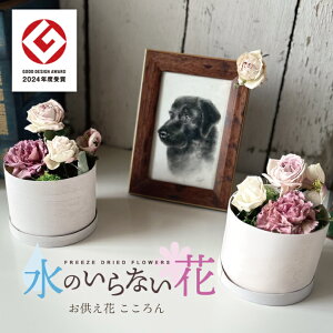 yӂ邳Ɣ[ŁẑȂ [t[ u v 1 k R` cs  LotusGarden t[YhCX Next Level FLOWERS Japan t[YhCt[