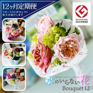 yӂ邳Ɣ[Łz12ց ̂Ȃ [t[ uBouquet12v \ݗ{12A͂ k R` cs  LotusGarden t[YhCX Next Lev