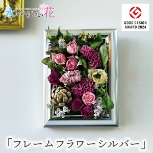 yӂ邳Ɣ[ŁẑȂ [t[ ǂɏ t[t[uVo[v k R` cs  LotusGarden t[YhCX Next Level FLOWERS Japan [t[ Ce