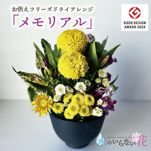 yӂ邳Ɣ[ŁẑȂ [t[  AW uAv k R` cs  LotusGarden t[YhCX Next Level FLOWERS Japan t[YhCt[