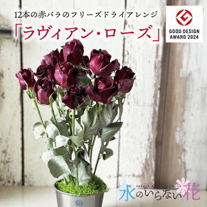 yӂ邳Ɣ[ŁẑȂ [t[ AW 12{̐ԃouBAE[Yv k R` cs  LotusGarden t[YhCX Next Level FLOWERS Japan t[YhCt
