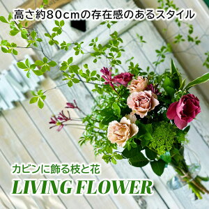 yӂ邳Ɣ[ŁzJrɏ}ƉԁuLIVING FLOWERv wEs t[ O[ } { t  H ~ k R` cs  t[Xg