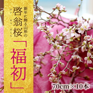 yӂ邳Ɣ[ŁzVNɏR`̍ u2026v cs̍̌[ 70cm 10{ 2025N1220`1230ɂ͂ wEs k R` cs n [ A 