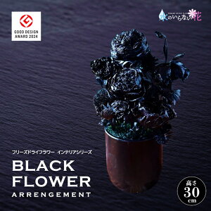 yӂ邳Ɣ[Łz [t[ uBLACK FLOWER ARRANGEMENTv t[YhCt[CeAV[Y R` cs  LotusGarden t[YhCX Next Level FLOWERS Japan [t