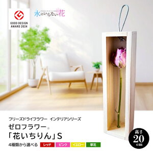 yӂ邳Ɣ[Łz[t[ uԂvS t[YhCt[CeAV[Y ԂIׂ k R` cs  LotusGarden t[YhCX Next Level FLOWERS Japan t[