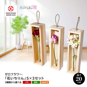 yӂ邳Ɣ[Łz[t[ uԂvS×3Zbg t[YhCt[CeAV[Y ԂIׂ k R` cs  LotusGarden t[YhCX Next Level FLOWERS Japan