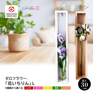 yӂ邳Ɣ[Łz[t[ uԂvL t[YhCt[CeAV[Y ԂƊ킪Iׂ k R` cs  LotusGarden t[YhCX Next Level FLOWERS Japan t