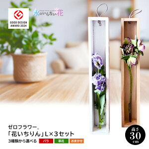 yӂ邳Ɣ[Łz[t[ uԂvL×3Zbg t[YhCt[CeAV[Y ԂƊ킪Iׂ k R` cs  LotusGarden t[YhCX Next Level FLOWERS