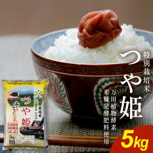 yӂ邳Ɣ[ŁzP 5kg ʍ͔| cAyfEčfy엿gp ߘa7NY R`Y k R` cs n      uh ͂ 