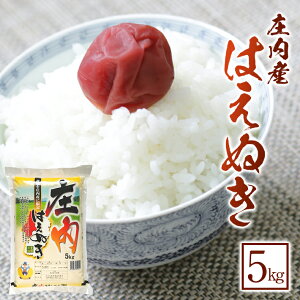 yӂ邳Ɣ[Łz͂ʂ 5kg ߘa7NY R`Y k R` cs n      uh ͂ 