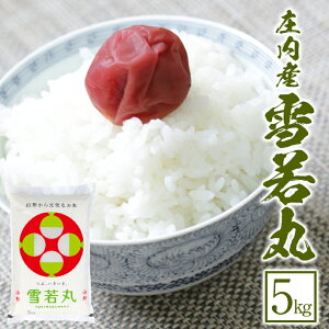 yӂ邳Ɣ[Łz 5kg ߘa7NY R`Y k R` cs n      uh ͂ 