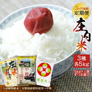 yӂ邳Ɣ[Łz3ց 3Hה 5kg×3A ͂ʂ  PicAyfEčfy엿gpPj v15kg R`Y ]Ԃ̖{