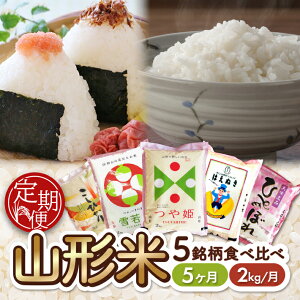 yӂ邳Ɣ[Łz5ց R`Y5Hה 2kg×5A v10kg P  ͂ʂ ЂƂ߂ڂ RVqJ ߘa7NY R`Y ]Ԃ̖{ɂ͂ k 