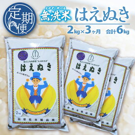 【ふるさと納税】≪3ヶ月定期便≫ 無洗米 はえぬき 2kg×3ヶ月連続 計6kg 山形県庄内産 ご希望期間の毎月中旬にお届け 東北 山形県 酒田市 庄内地方 庄内平野 米 無洗米 ブランド米 庄内米 定期便 小分け 一人暮らし 少人数 少量