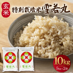 yӂ邳Ɣ[Łz  v10kg 5kg×2 ʍ͔| ߘa7NY R`cY ]̎͂     uh  ͂ k cs n  _ƒ 