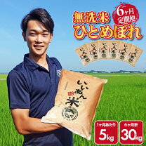 楽天市場】庄内米 30kgの通販