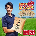 ≪新米予約≫ ≪12ヶ月定期便≫ 無洗米 はえぬき 5kg×12ヶ月連続 計60kg 山形県庄内産 ご希望期間の毎月中旬頃お届け 産地直送 米 お米 精米 白米 庄内米 いいあん米 ブランド米 東北 酒田市 アグレスト JGAP認証農場