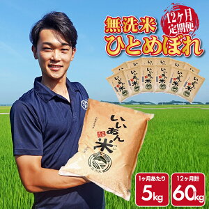 yӂ邳Ɣ[Łz12ց ĂЂƂ߂ڂ 5kg×12A v60kg R`Y ]Ԃ̖{͂ Yn       k cs AOX