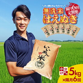【ふるさと納税】≪隔月6回定期便≫ 無洗米 はえぬき 5kg×6回 計30kg 山形県庄内産 隔月で中旬にお届け 精米 白米 庄内米 お米 ごはん ご飯 少人数 東北 山形県 酒田市 庄内平野 庄内地方 産地直送 アグレスト JGAP認証農場