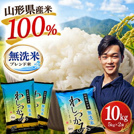 【ふるさと納税】無洗米 わしづかみ 5kg×2袋 計10kg 山形県産米100% 複数原料米 ご希望の時期頃お届け ブレンド米 お米 庄内米 精米 白米 ごはん 東北 山形県 酒田市 庄内 農家直送 産地直送 訳あり 家庭用 小分け 発送時期が選べる