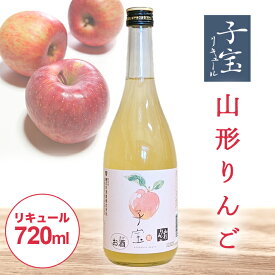 【ふるさと納税】 子宝リキュール 山形りんご 720ml×1本 東北 山形県 酒田市 庄内地方 子宝 フルーツ リキュール りんご リンゴ 林檎 お酒 楯の川酒造 楯野川