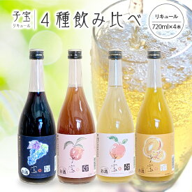 【ふるさと納税】子宝リキュール フルーツリキュール 4種飲み比べ 月山の山ぶどう 山形すもも 山形りんご 番外編マンゴー 720ml×4本 お酒 楯の川酒造 楯野川 東北 山形県 酒田市 庄内 果物 くだもの 山葡萄 李 林檎 セット 詰め合わせ