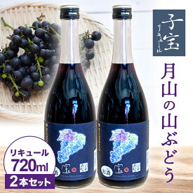 【ふるさと納税】子宝リキュール 月山の山ぶどう 720ml×2本 東北 山形県 酒田市 庄内地方 お酒 楯の川酒造 楯野川 山葡萄 フルーツ くだもの