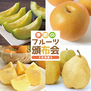 yӂ邳Ɣ[Łz4ց G߂̃t[cЕz2026 6{`8{uAfX()5kgv 9{`10{ua 5kgv 10{`11{u`(Ȃ`)5kgv11