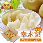 特選 幸水梨 約3kg（7?9玉入） 山形県酒田産 8月下旬?9月中旬頃お届け ※着日指定不可 和梨 ナシ 梨 なし 幸水 東北 山形県 酒田市 庄内 フルーツ 夏 秋 旬