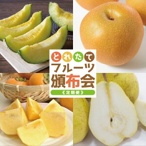 yӂ邳Ɣ[Łz4ց ƂꂽāIt[cЕz2026 6{`8{uAfXij3kgv 8{`9{ua 3kgv 10{`11{u`iȂ`j3