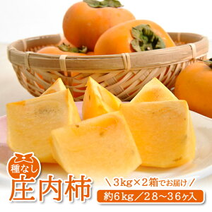 yӂ邳Ɣ[Łz` 6kgi28`36ʓj R`cY 10{`11{͂ ws j` Ȃ` JL  ` k R` cs 