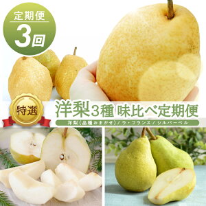 yӂ邳Ɣ[Łz3ց I Y m3 ג2026 10{`10{:i킨܂ 11{`12{:EtX 11{`12{:Vo[x e3kg v3 R`