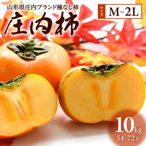 yӂ邳Ɣ[Łz` j` M`2LTCY 54`72ʓ 10kg 1 11{`11{͂ ws k R` cs n ` JL 햳` Ȃ` _ Yn 