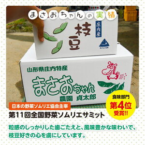 【ふるさと納税】山形県産枝豆3kg「えだまめまさおちゃん」7月中旬〜9月中旬頃お届け冷蔵便※離島発送・着日指定不可