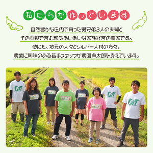 【ふるさと納税】山形県産枝豆3kg「えだまめまさおちゃん」7月中旬〜9月中旬頃お届け冷蔵便※離島発送・着日指定不可