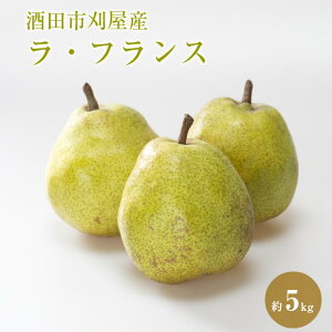 yӂ邳Ɣ[Łzc̔ EtX Gi 5kg 12`18 R`cY 10{`12{͂ ws tX m mȂ 悤Ȃ ʕ  t[c { H 