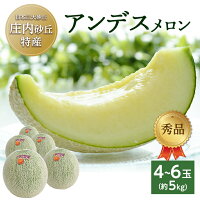 【ふるさと納税】庄内砂丘特産 アンデスメロン 秀品 4〜6玉 約5kg 6...