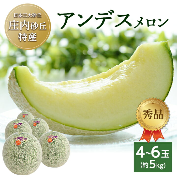 楽天市場】【ふるさと納税】庄内砂丘特産 アンデスメロン 秀品 4〜6玉 
