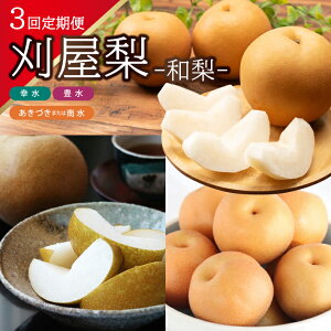 yӂ邳Ɣ[Łz3ց 3̊2026 8{`9{:K 9{`10{:L 9{`10{:Â܂͓쐅 v3 R`csY ws