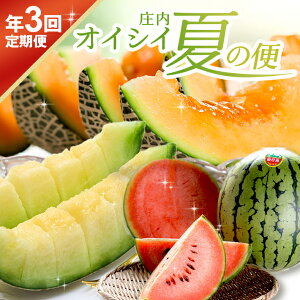 yӂ邳Ɣ[Łz3ց ICVCĂ̕2026 6{`7{:gԃ 7{`8{:ʃXCJ 8{`9{:A[X v3 R`cY ws 