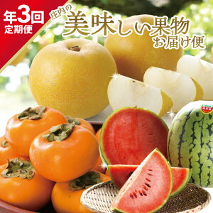 yӂ邳Ɣ[Łz3ց ̔ʕ͂2026 7{`8{Fʂ 8{`9{F 10{`11{F` v3 ws Еz  H ~ 